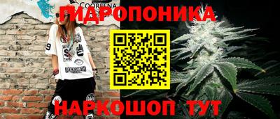 ГАЛЛЮЦИНОГЕННЫЕ ГРИБЫ Абакан