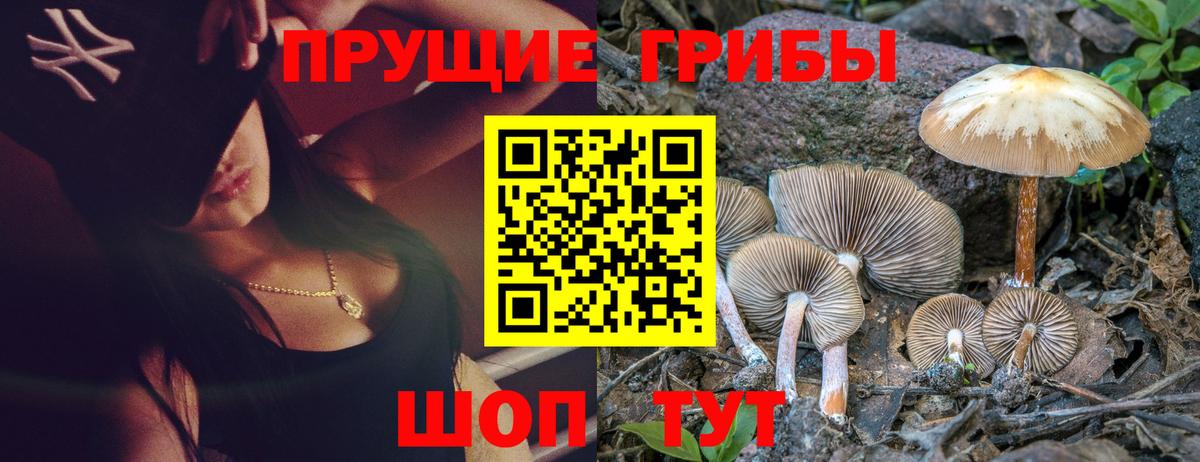Псилоцибиновые грибы мухоморы  Вход с VPN  Галлюциногенные грибы Psilocybine cubensis  Алейск 