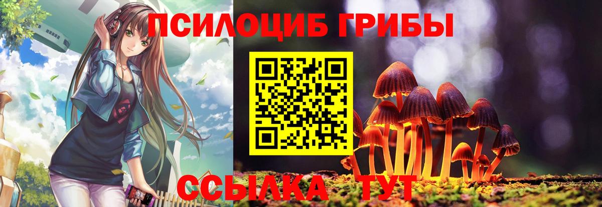Псилоцибиновые грибы Cubensis Алейск
